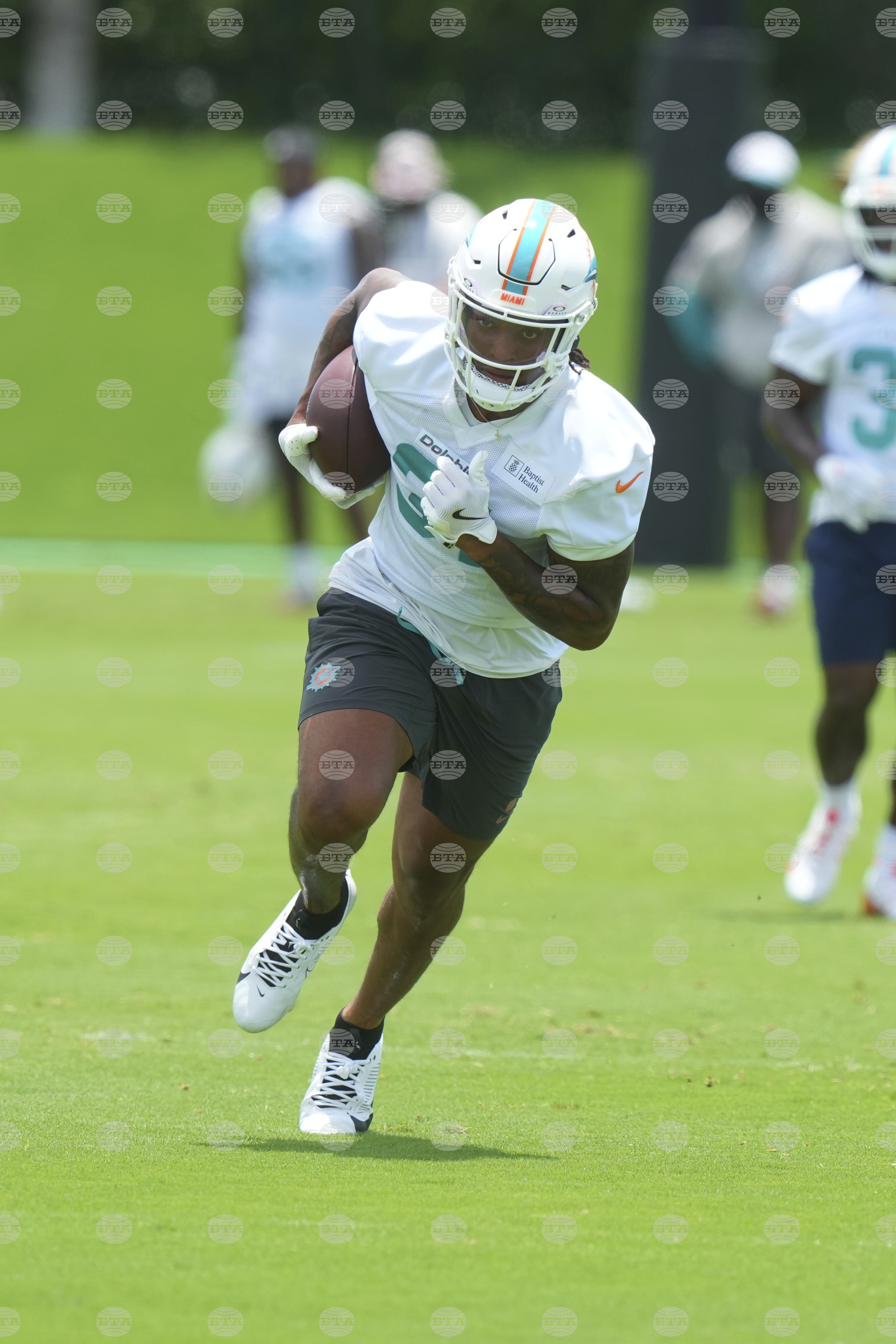 Dolphins Football