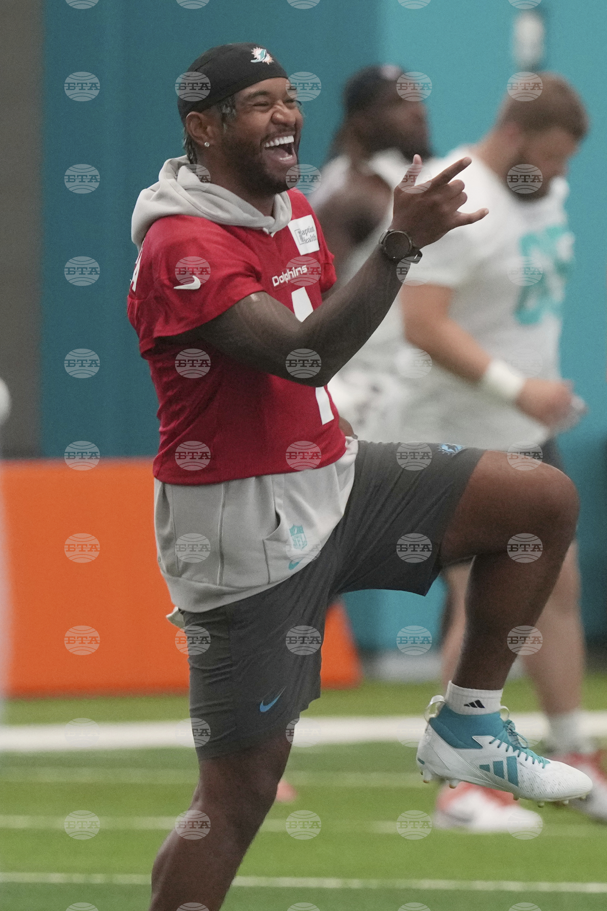 Dolphins Football