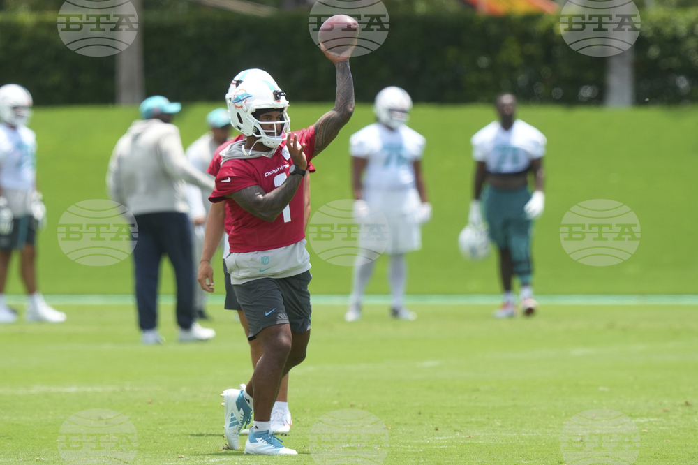 Dolphins Football