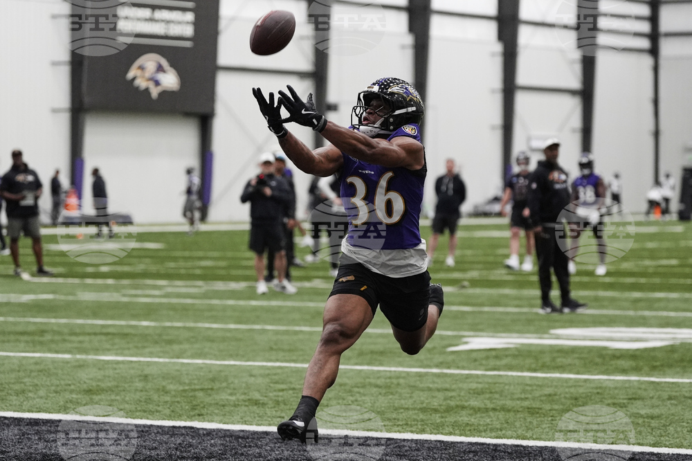 Ravens Football