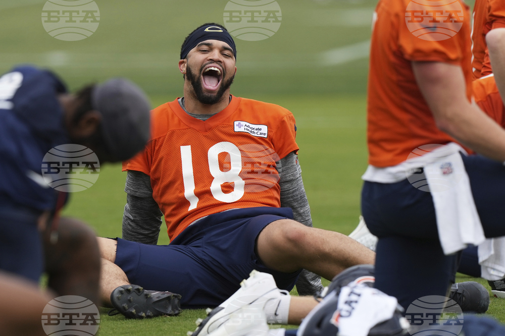 Bears Football