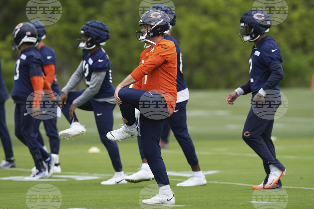 Bears Football