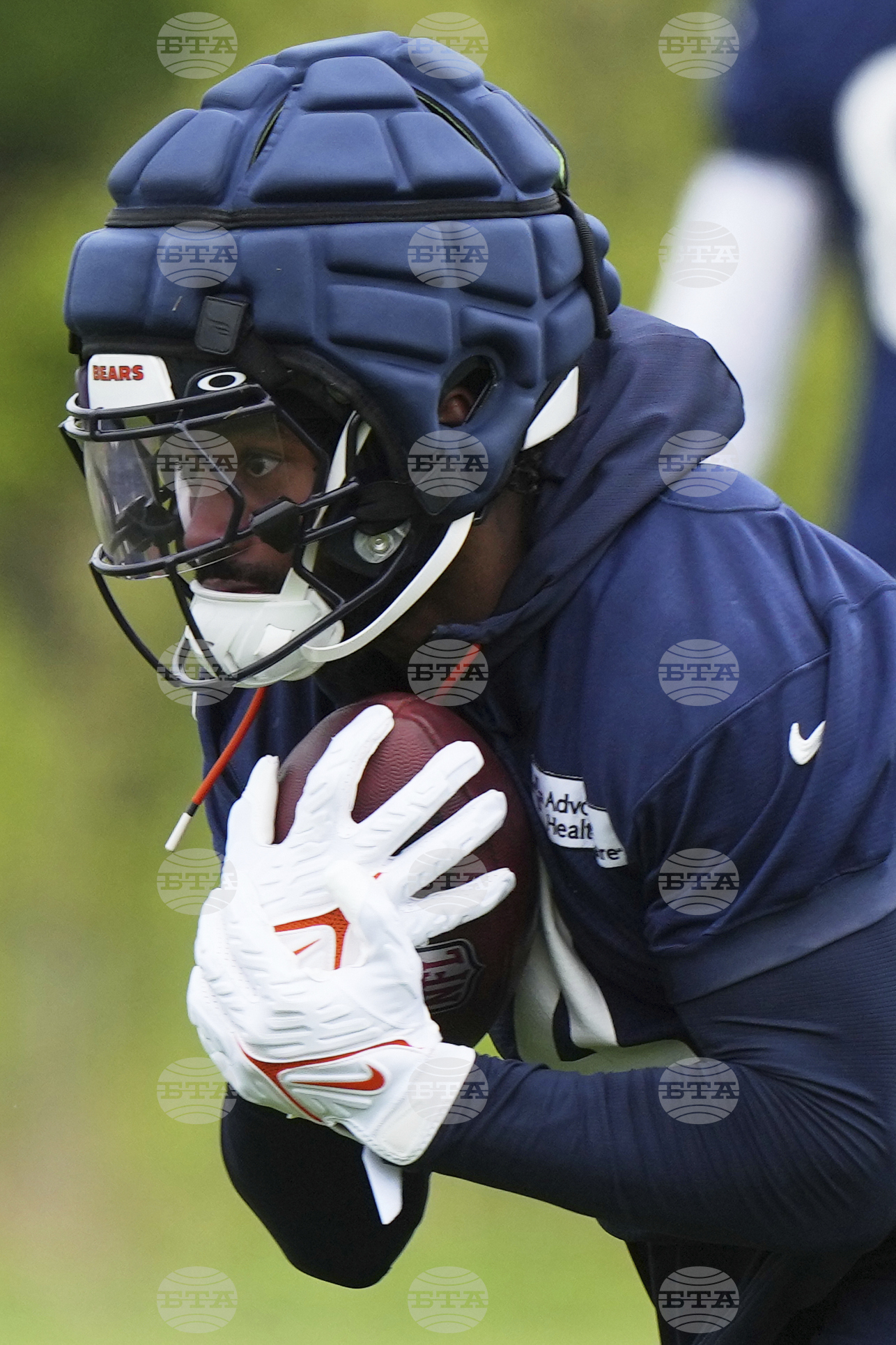 Bears Football