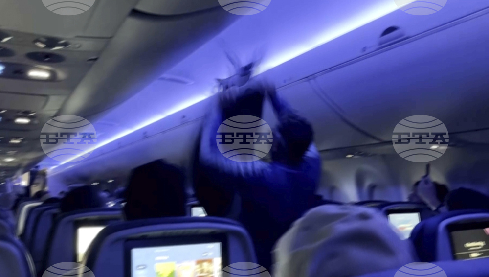 Pigeons-on-a-Plane