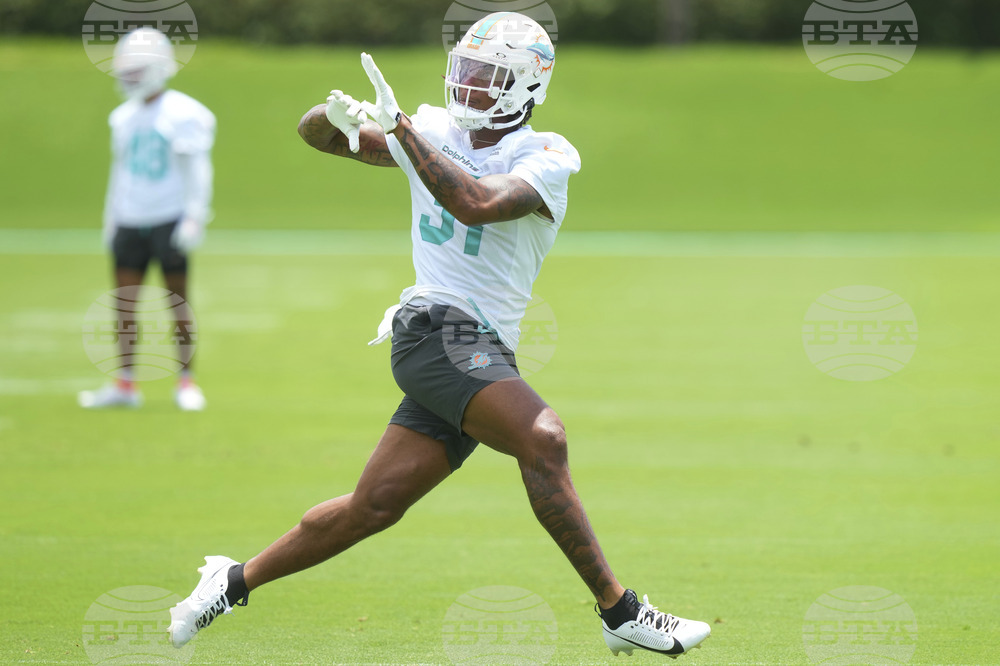 Dolphins Football