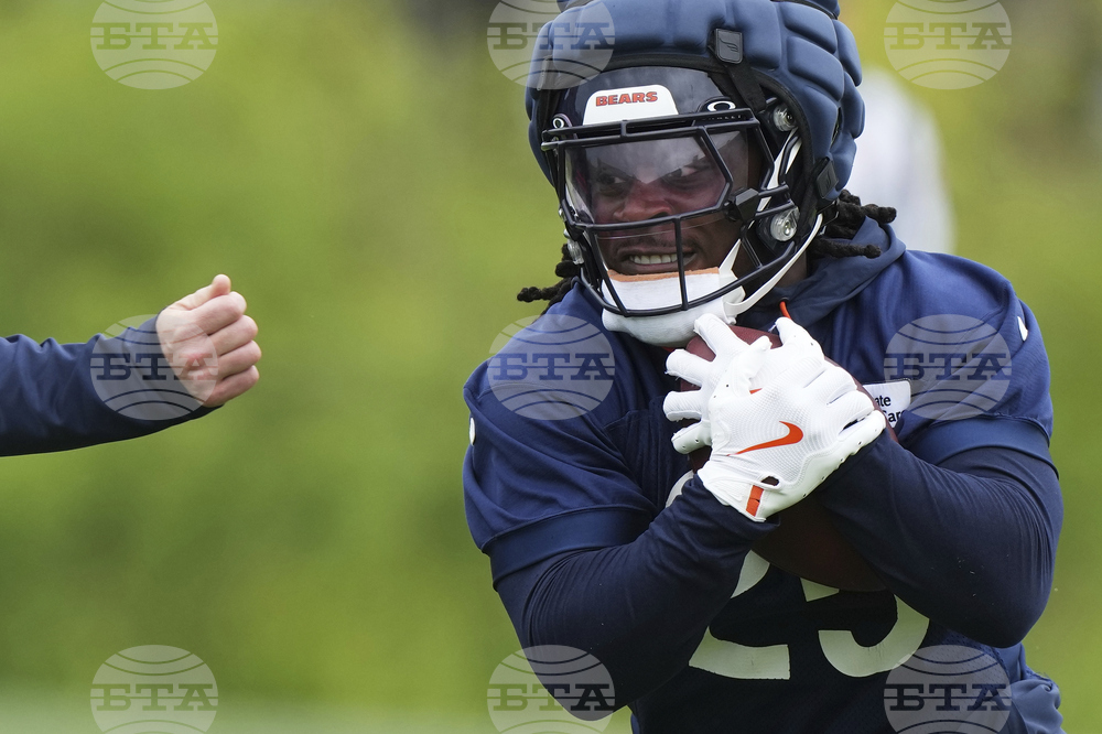 Bears Football