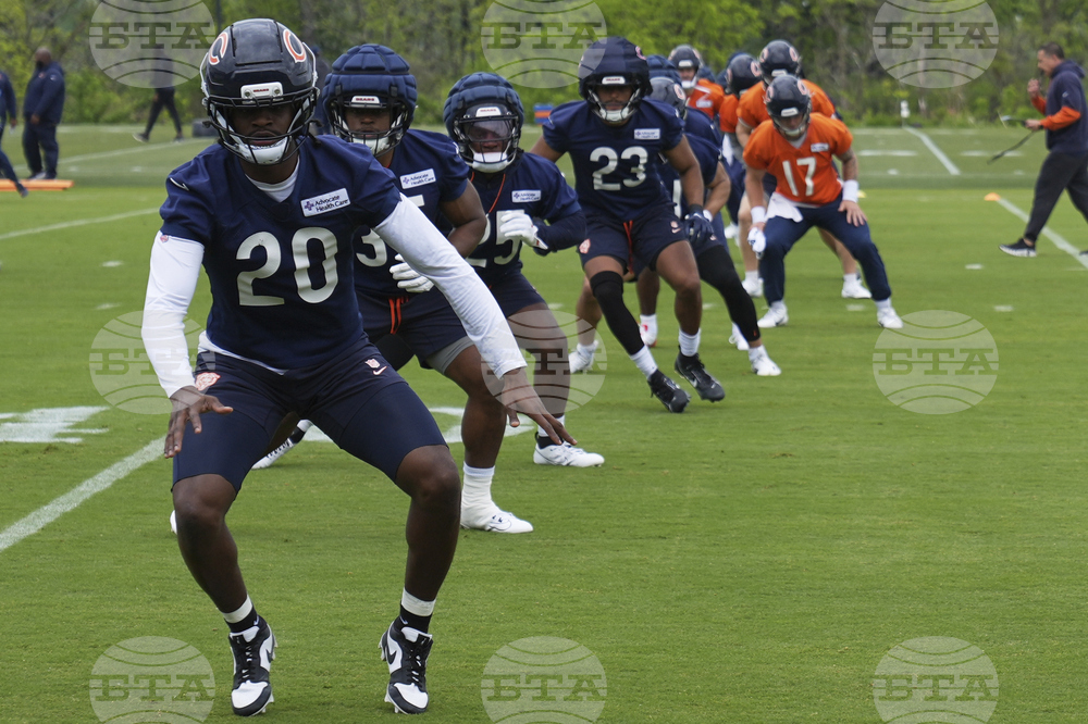 Bears Football