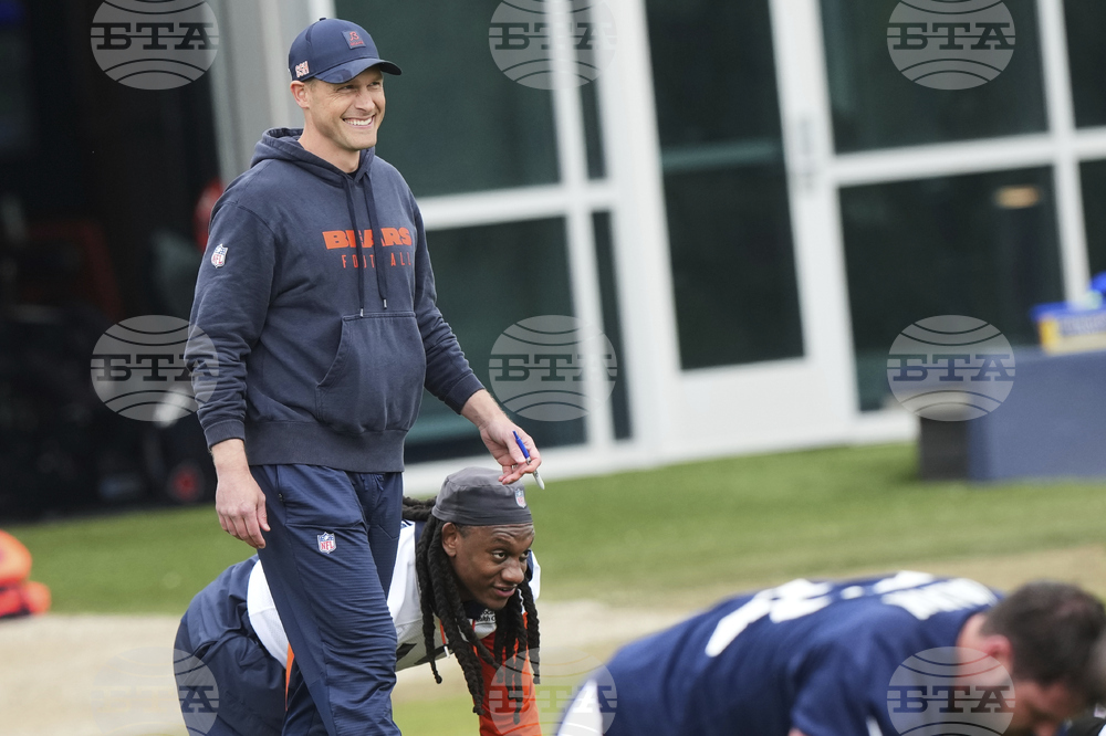 Bears Football