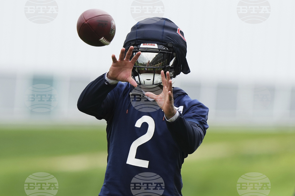 Bears Football