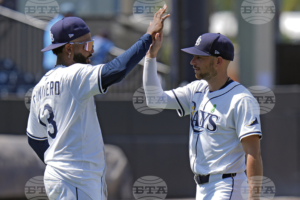 Twins Rays Baseball