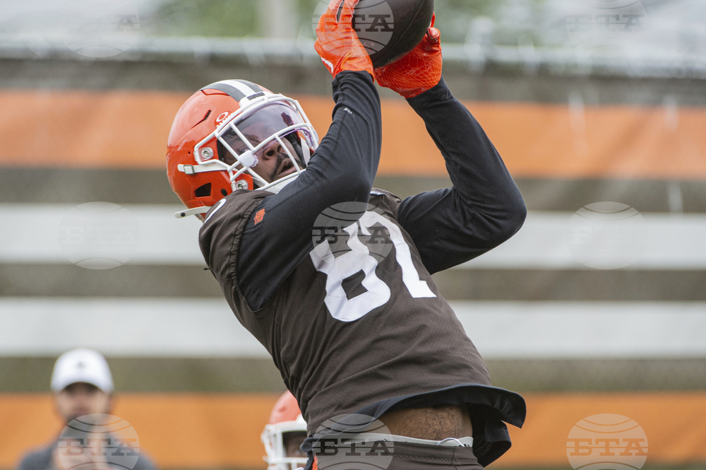 Browns Football