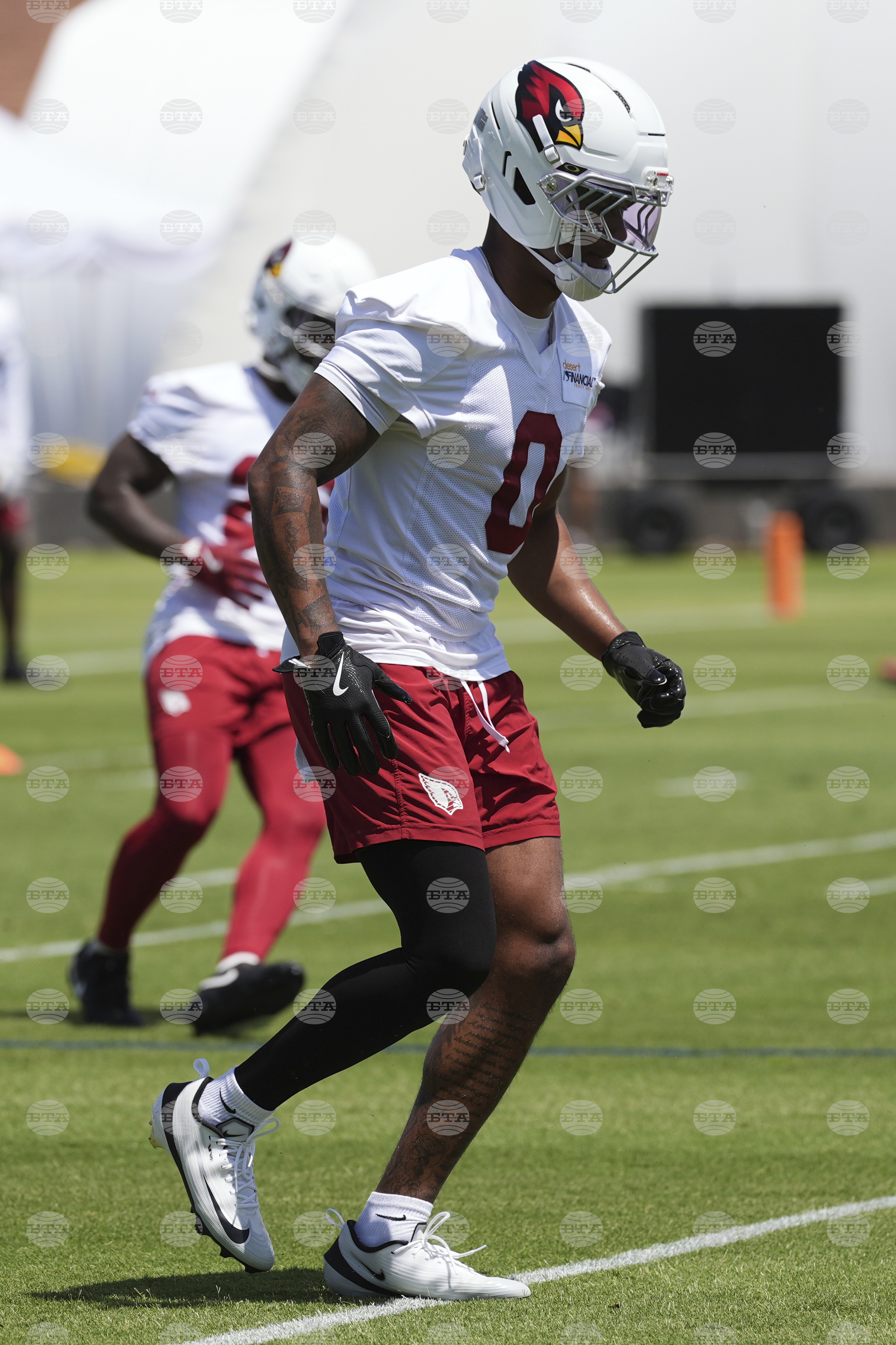 Cardinals Football