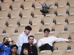 French Open Tennis