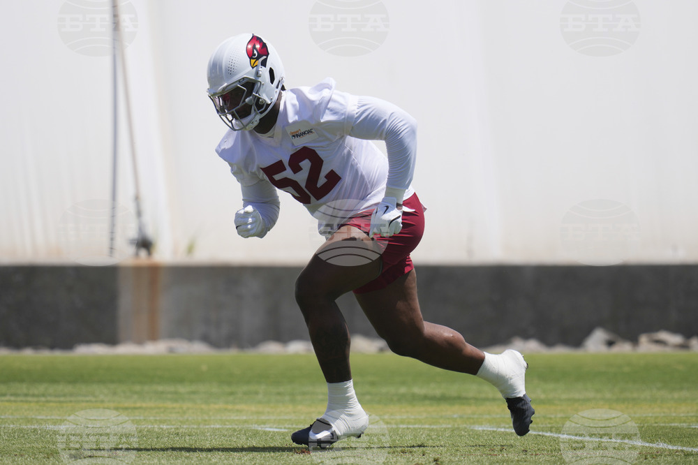 Cardinals Football