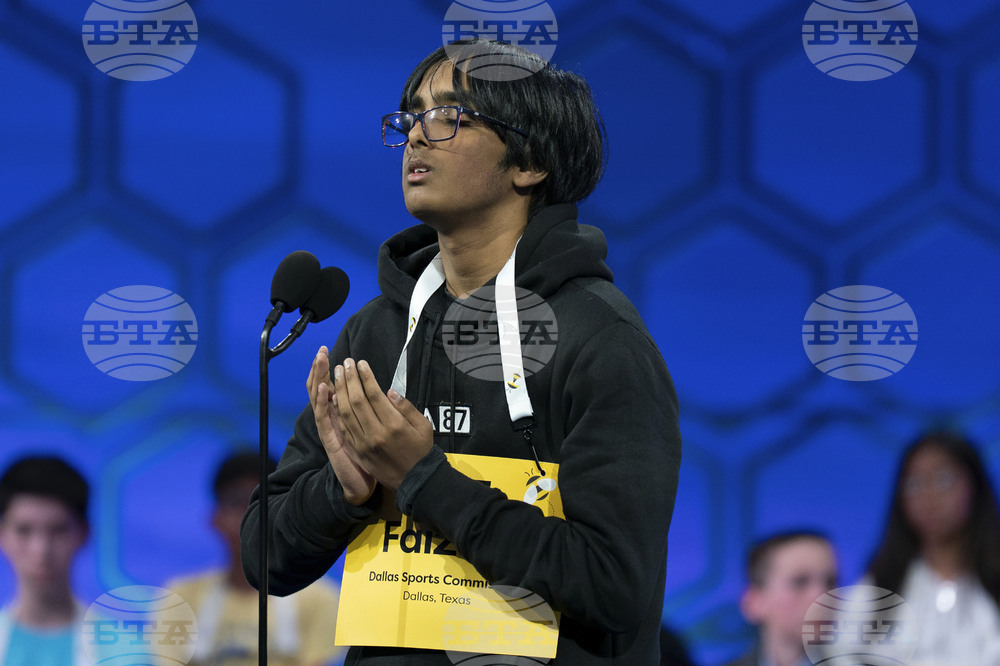Spelling Bee