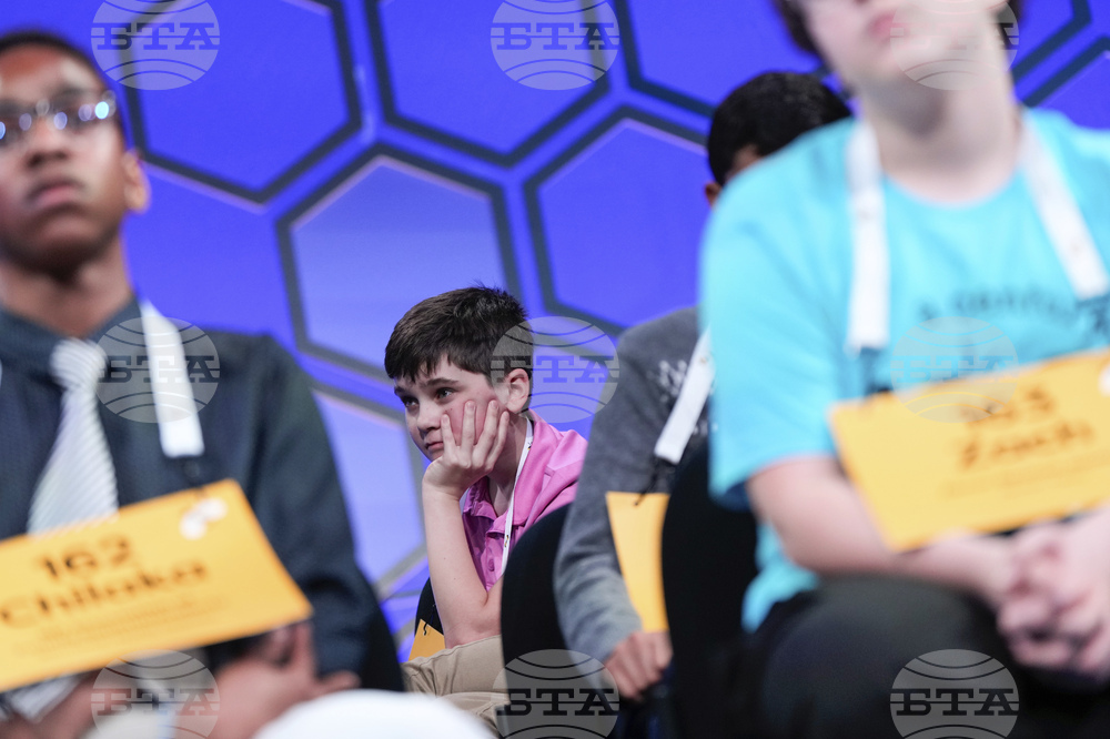 Spelling Bee
