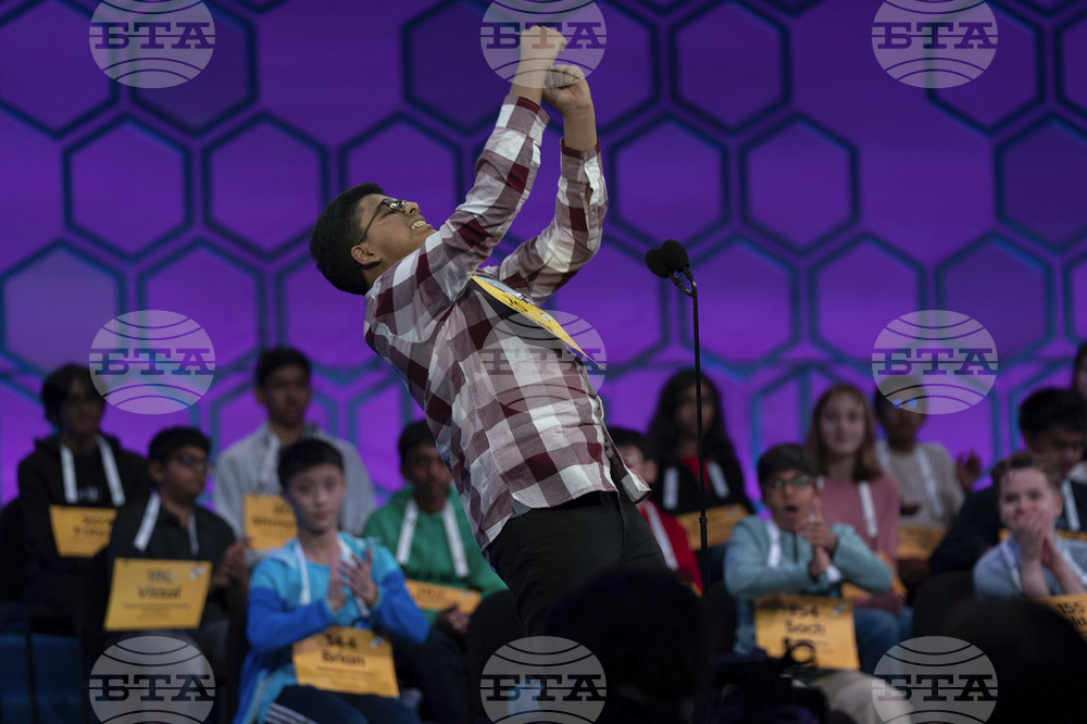 Spelling Bee