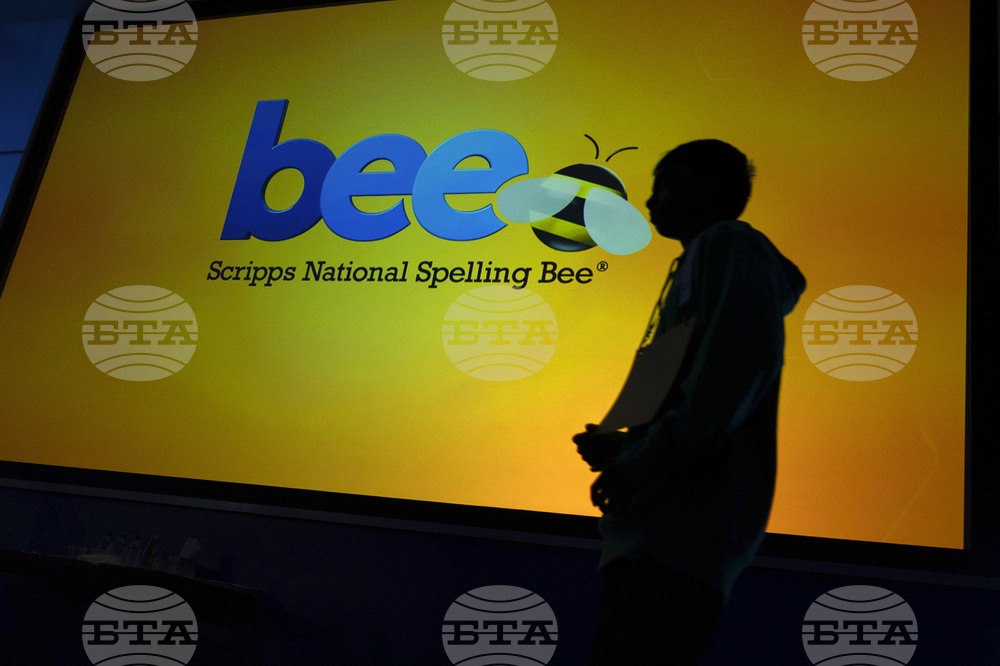 Spelling Bee