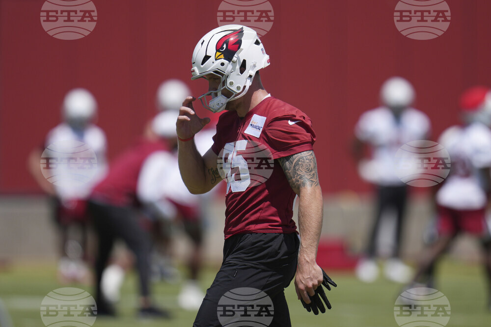 Cardinals Football