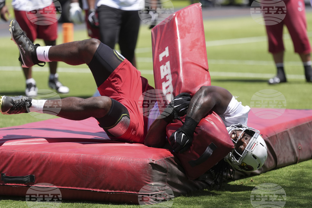 Cardinals Football