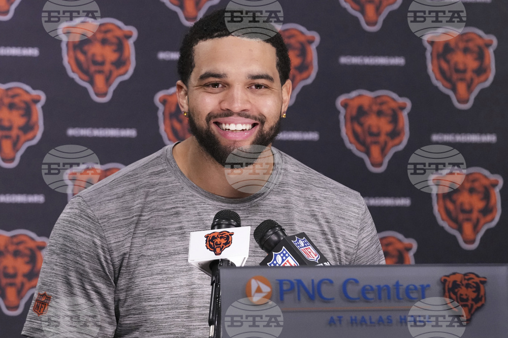 Bears Football