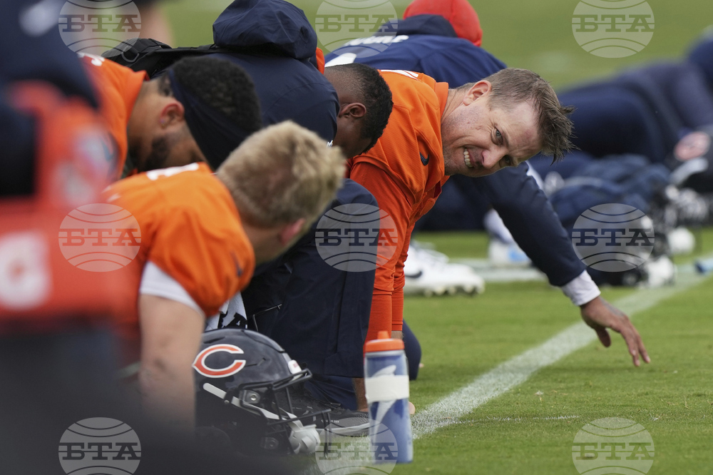 Bears Football