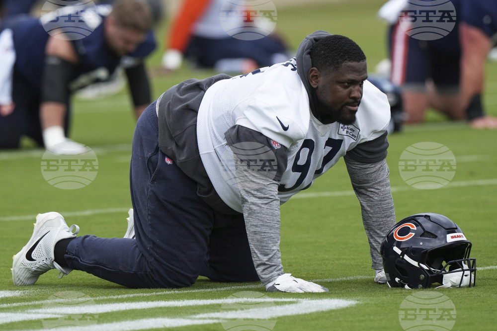 Bears Football