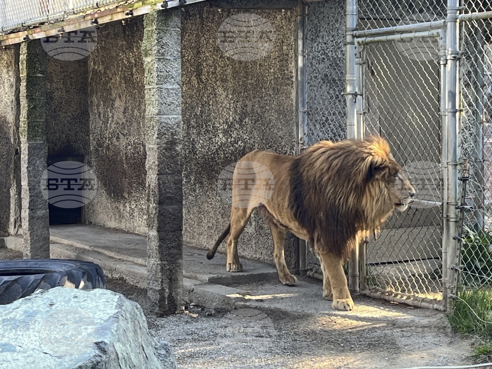 Oregon Zoo Owner Arrest