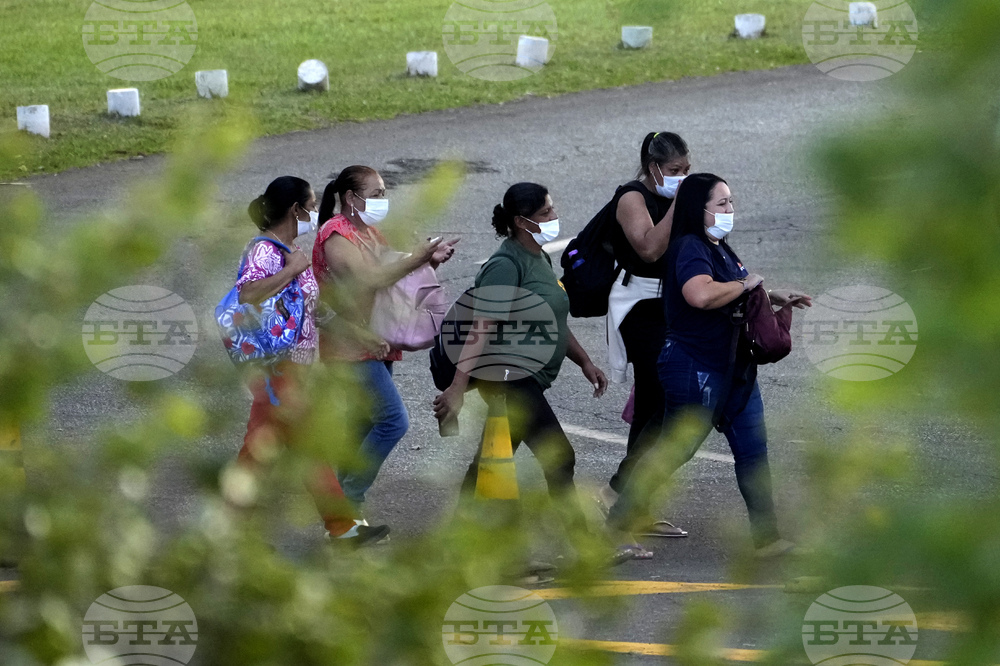 Brazil Bird Flu