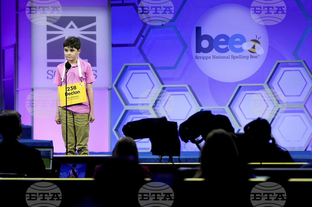 Spelling Bee