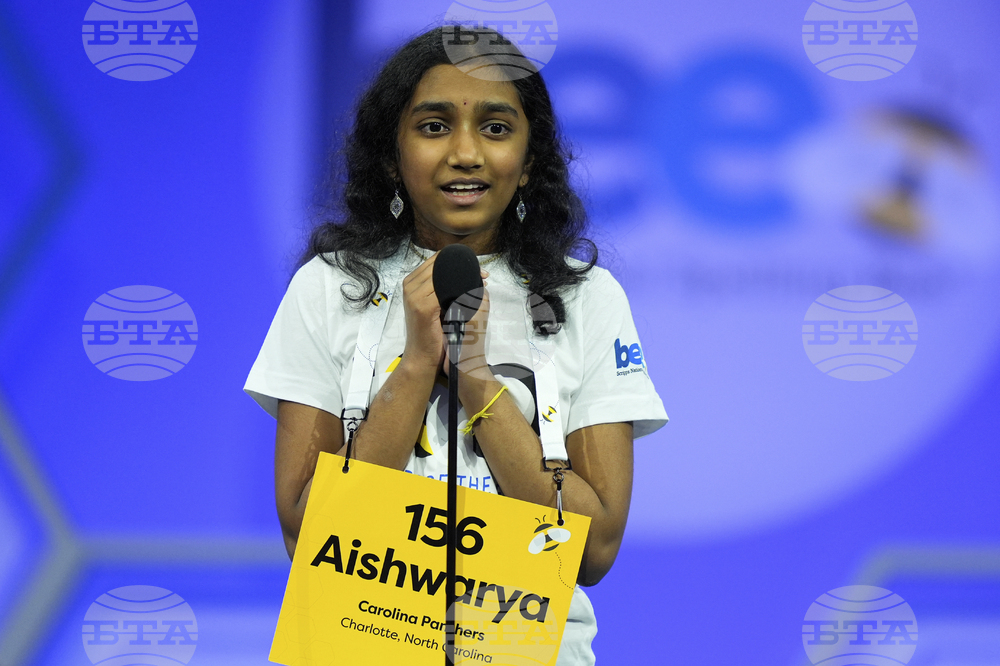 Spelling Bee