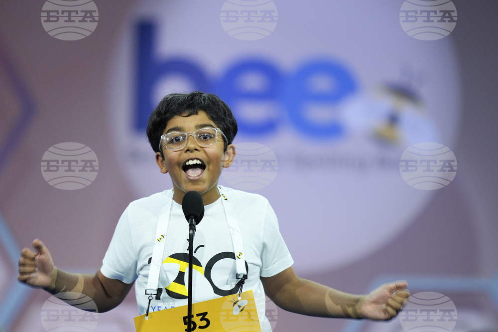 Spelling Bee