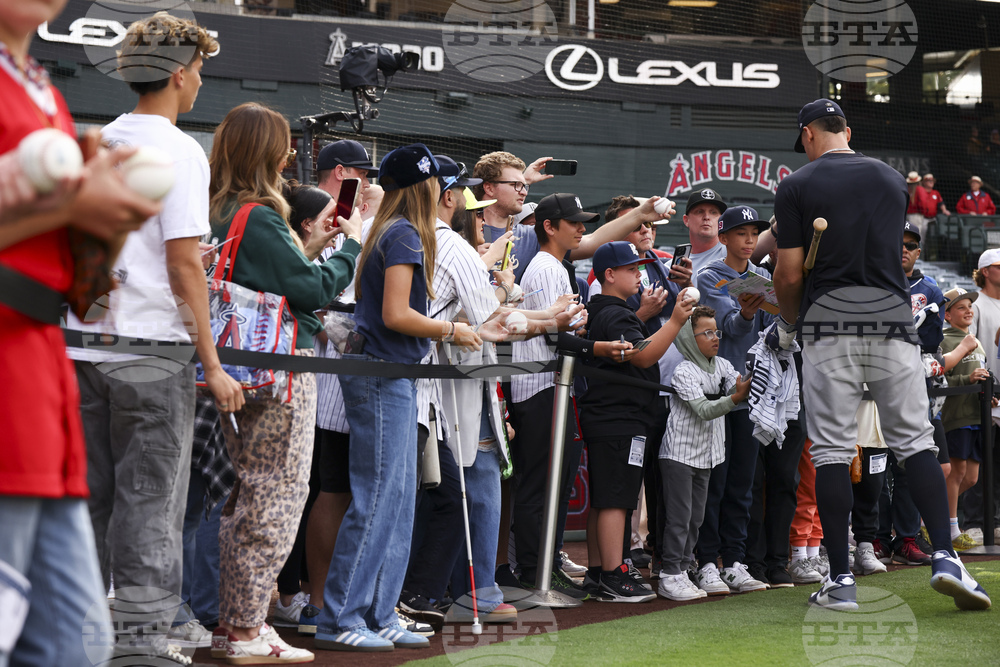 Yankees Angels Baseball