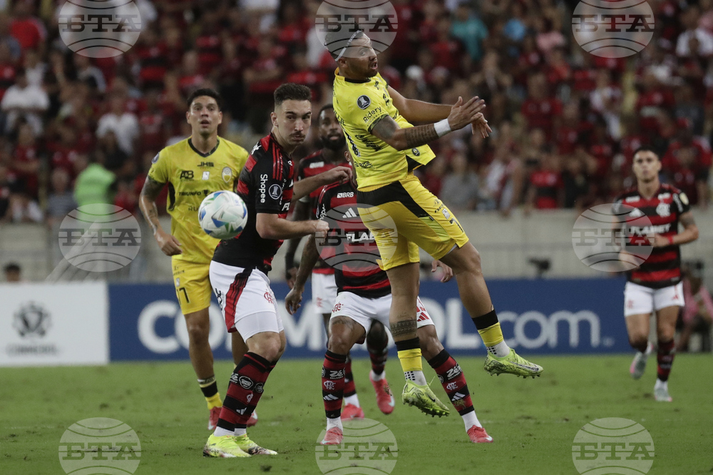Brazil Venezuela Soccer Copa Libertadores
