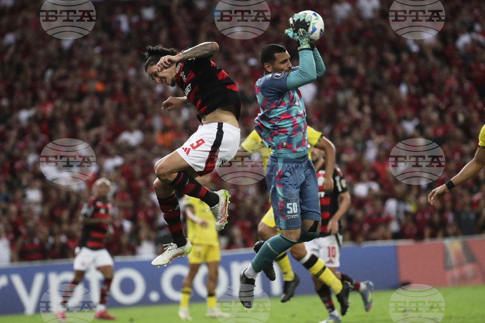 Brazil Venezuela Soccer Copa Libertadores