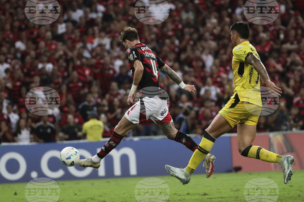 Brazil Venezuela Soccer Copa Libertadores