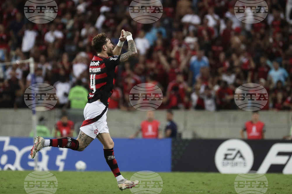 Brazil Venezuela Soccer Copa Libertadores