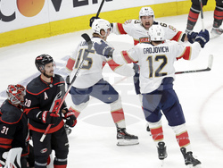 Panthers Hurricanes Hockey