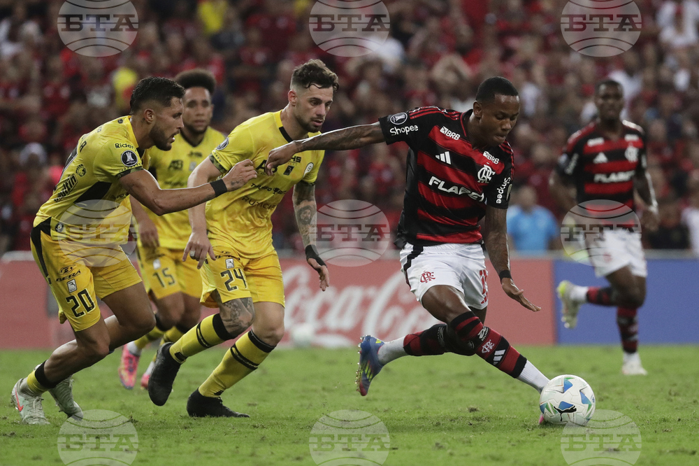 Brazil Venezuela Soccer Copa Libertadores