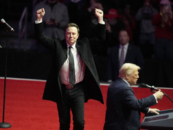 Musk Trump