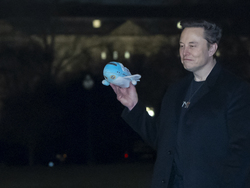 Musk Trump