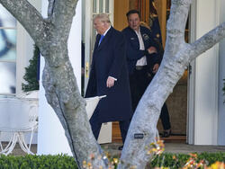 Musk Trump