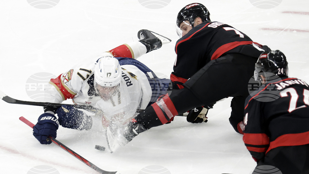 Panthers Hurricanes Hockey
