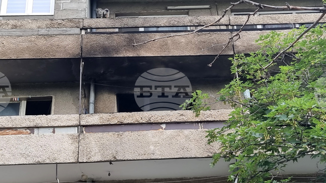 Общо 37 пожара са потушени в страната през последното денонощие 