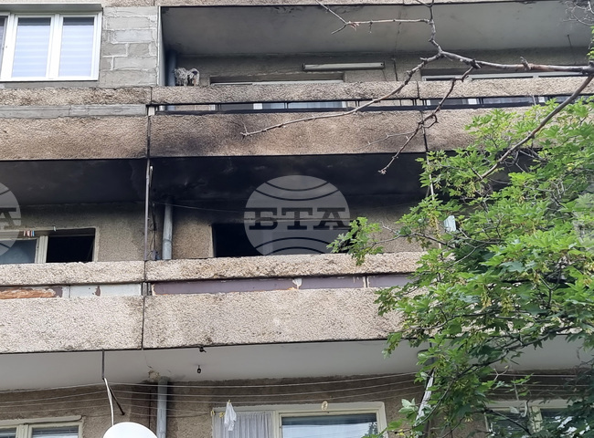 Общо 51 пожара са потушени в страната през последното денонощие, един човек е пострадал