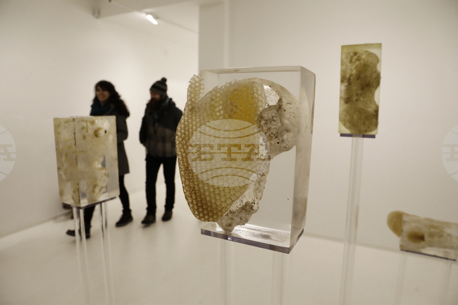 „Див градеж" - Павлин Радевски - изложба