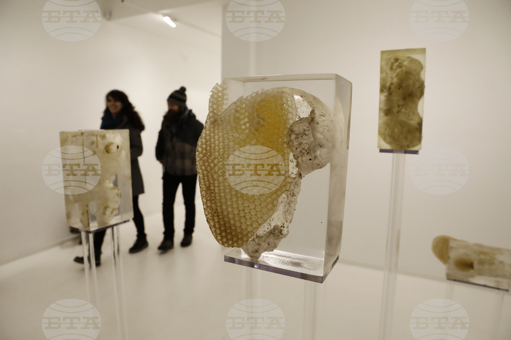 „Див градеж" -  изложба