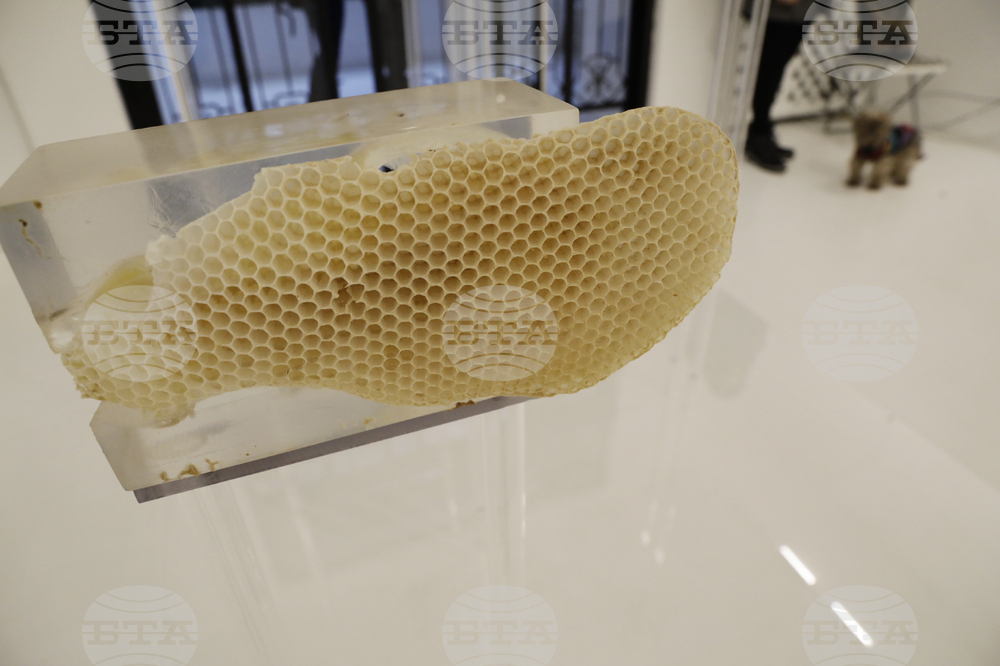 „Див градеж" -  изложба