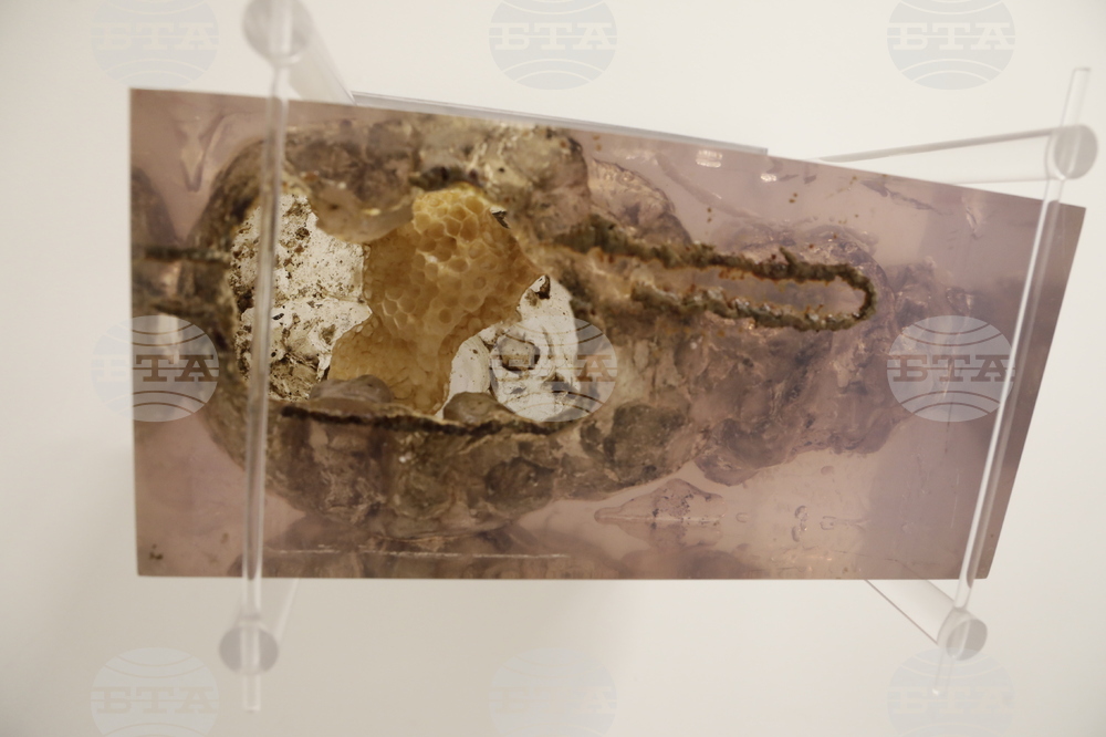 „Див градеж" -  изложба