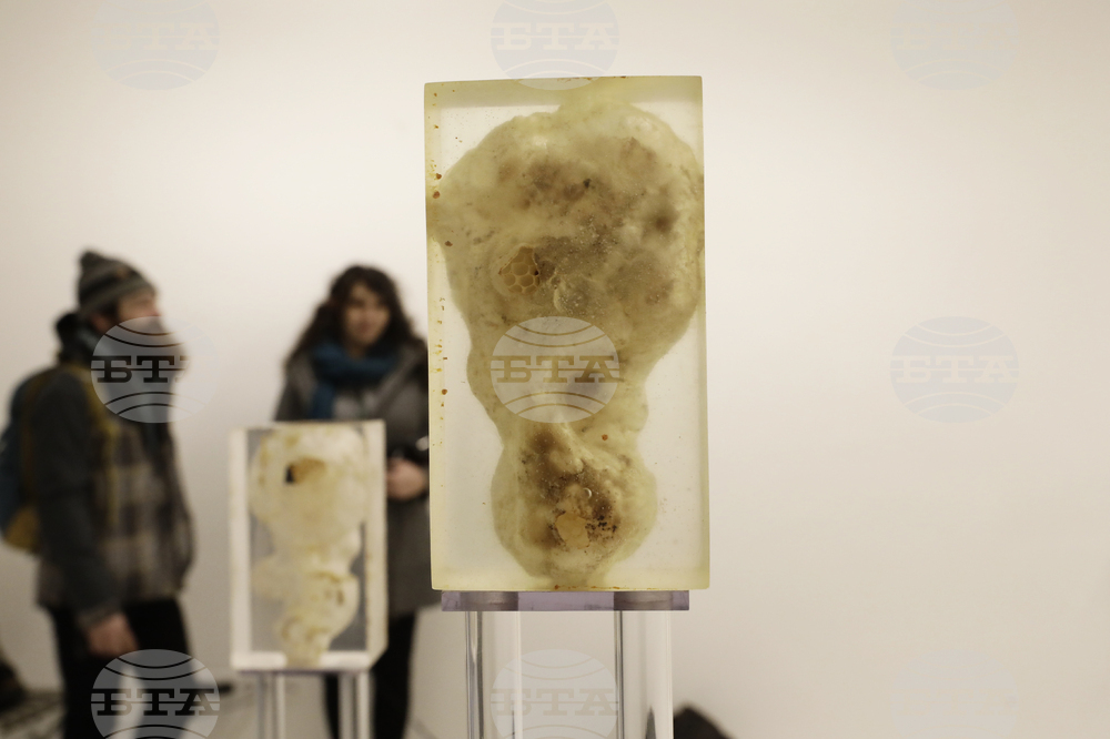 „Див градеж" -  изложба